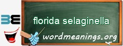 WordMeaning blackboard for florida selaginella